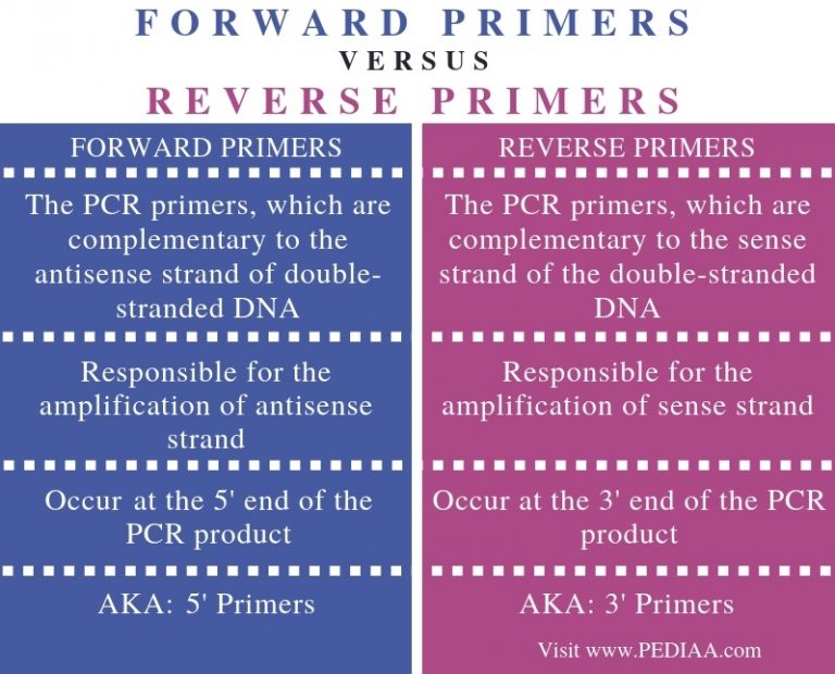 What is the Difference Between Forward and Reverse Primers