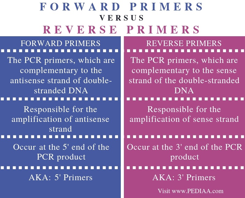 Difference Between Forward and Reverse Primers - Comparison Summary