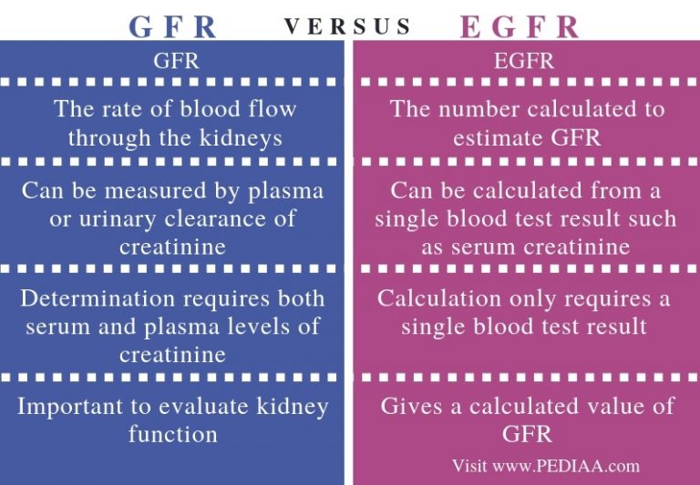 What Is The Difference Between GFR And EGFR Pediaa Com   Difference Between GFR And EGFR Comparison Summary 768x533 