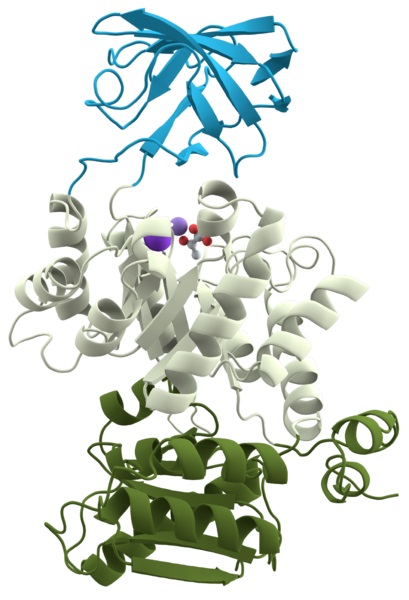 What is the Difference Between Motif and Domain in Protein Structure ...