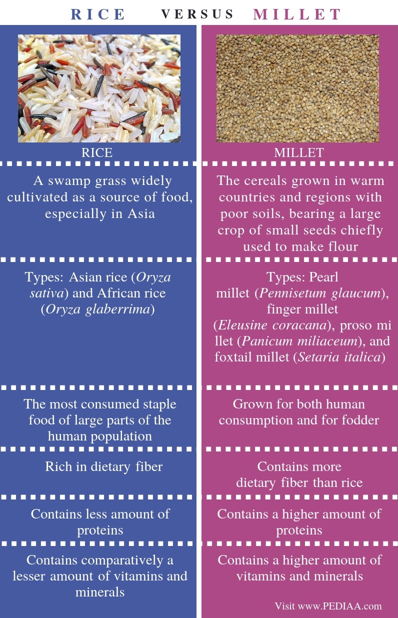 Rice Nutrition Comparison Chart