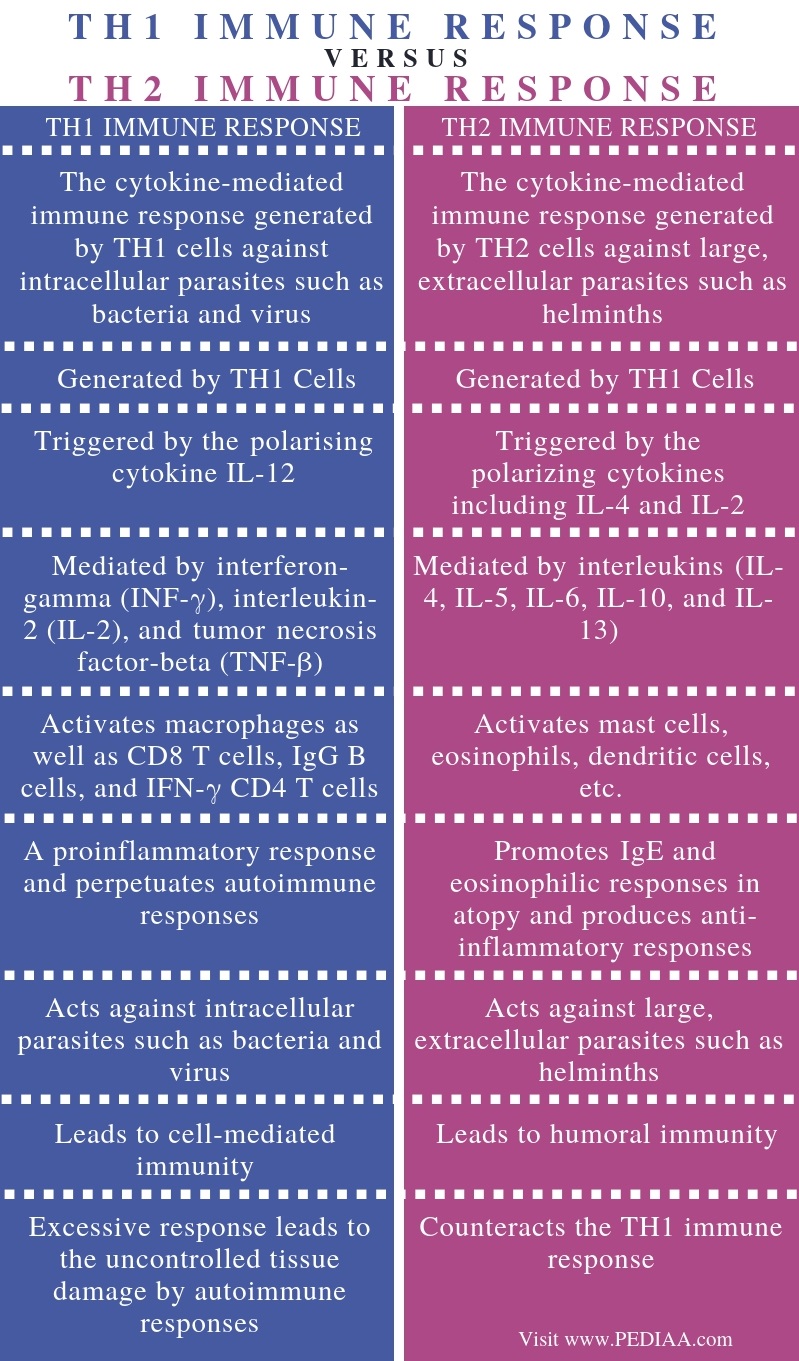 Difference Between TH1 and TH2 Immune Response - Comparison Summary