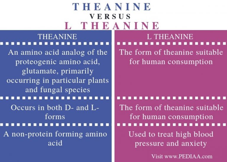 What is the Difference Between Theanine and L Theanine