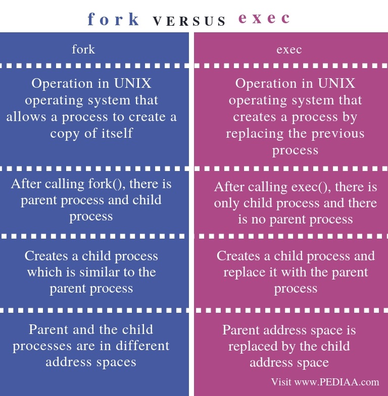 What is the Difference Between fork and exec