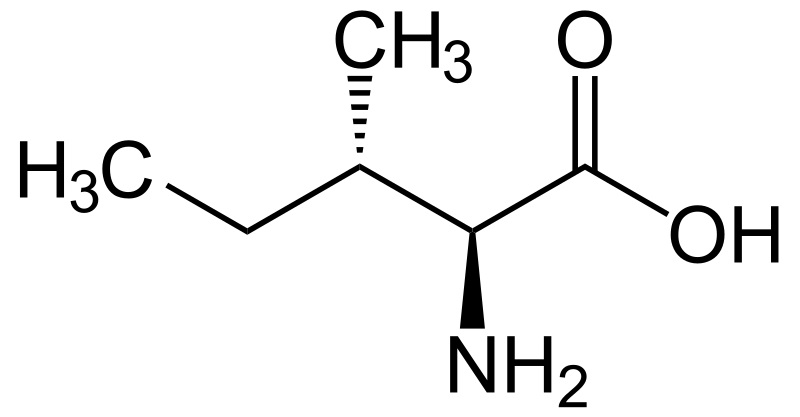 Difference Between Leucine and Isoleucine