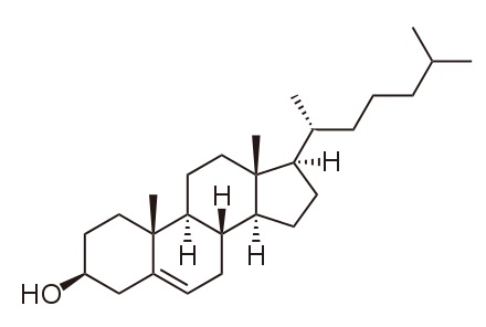 Plant Stanols vs Sterols