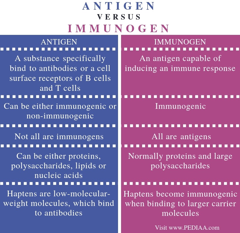 Difference Between Antigen and Immunogen - Comparison Summary