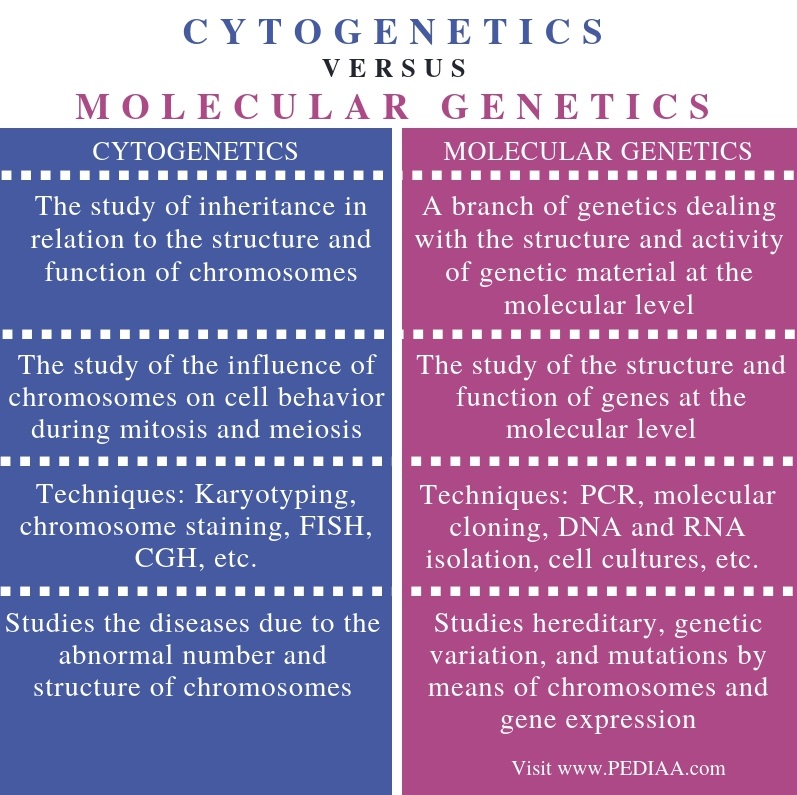 what-is-the-difference-between-cytogenetics-and-molecular-genetics