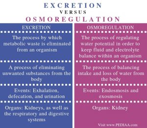 What is the Difference Between Excretion and Osmoregulation - Pediaa.Com