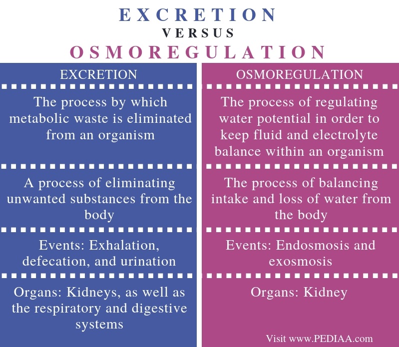 What Is The Difference Between Excretion And Osmoregulation - Pediaa.Com