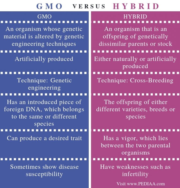 what-is-the-difference-between-gmo-and-hybrid-pediaa-com