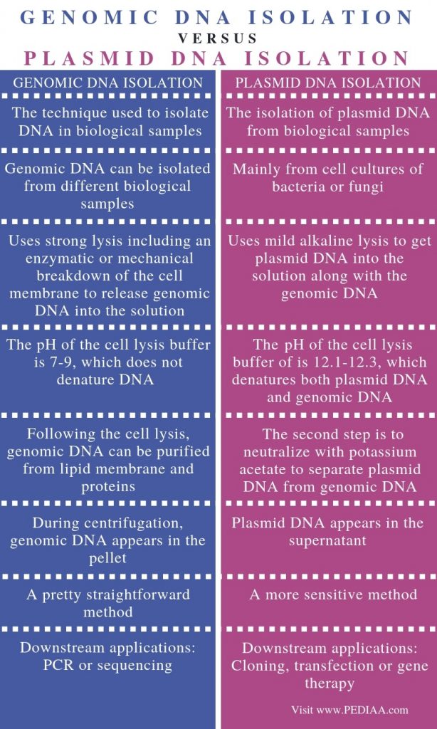 what-is-the-difference-between-genomic-dna-and-plasmid-dna-isolation