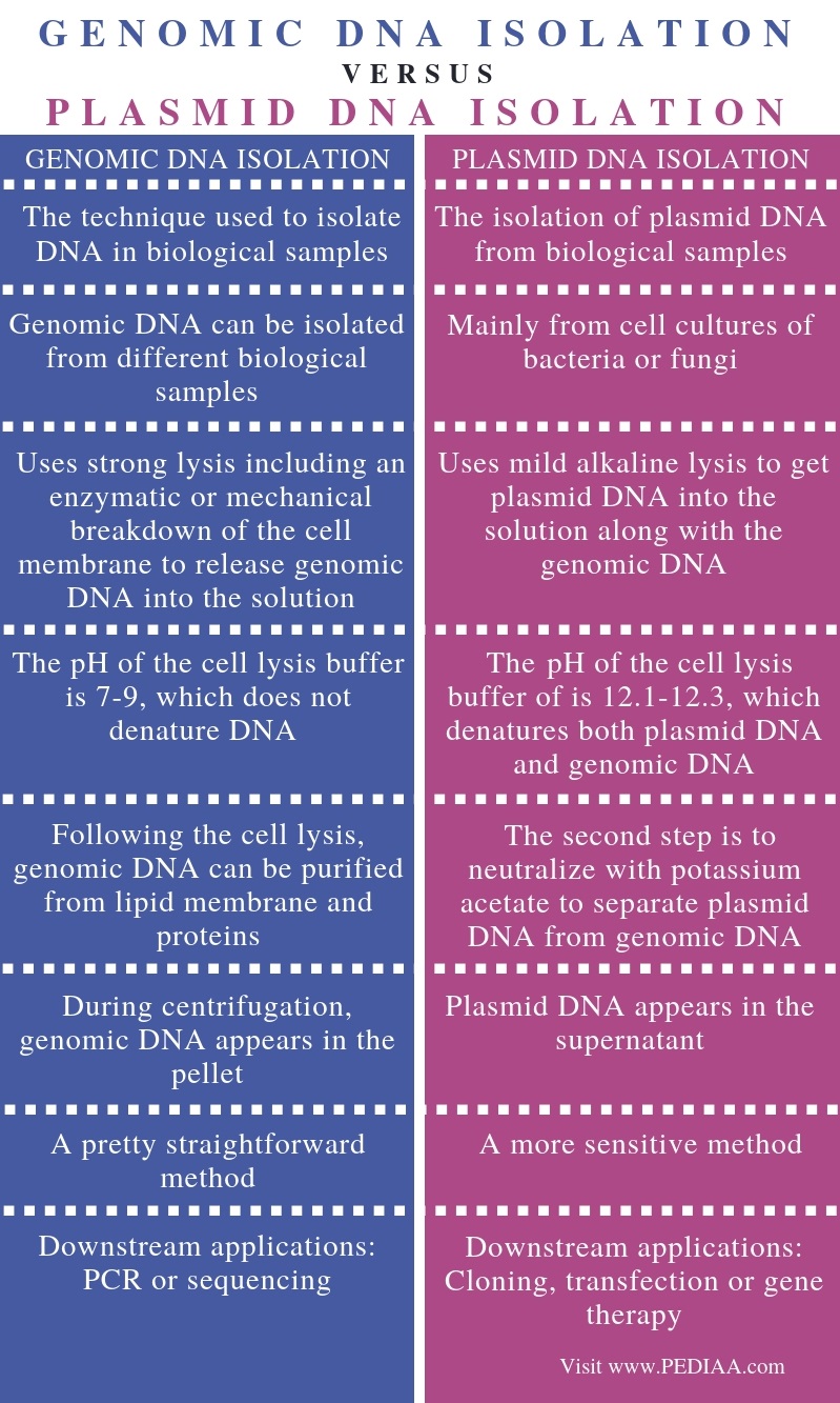 The Difference of the Genomic DNA Extraction Between 