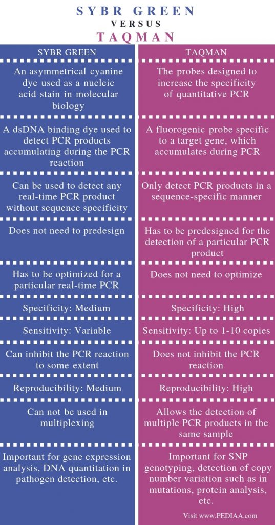 What is the Difference Between SYBR Green and Taqman