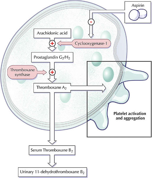Difference Between Anticoagulant and Antiplatelet