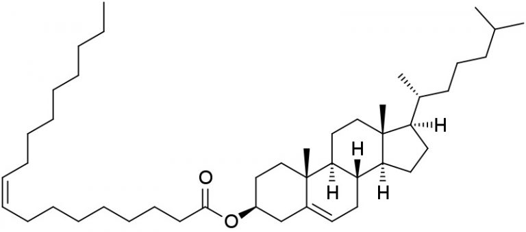 What is the Difference Between Cholesterol and Cholesteryl Ester ...