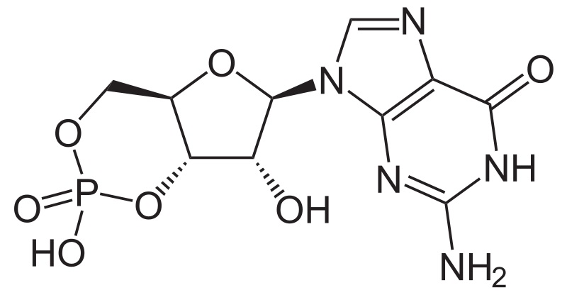 cAMP vs cGMP
