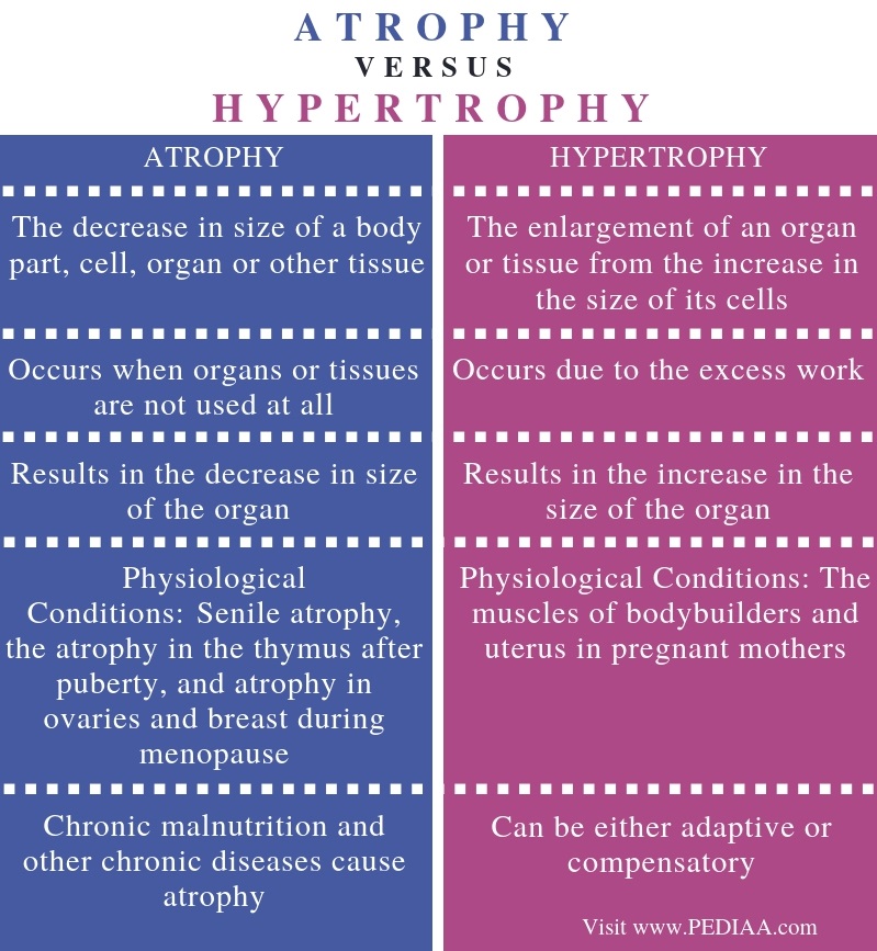 What is the Difference Between Atrophy and Hypertrophy - Pediaa.Com