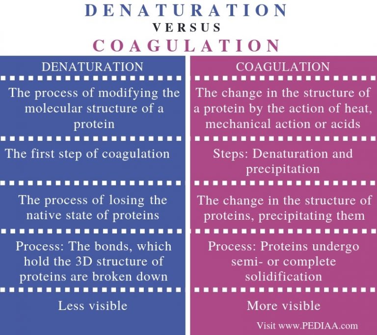 What is the Difference Between Denaturation and Coagulation