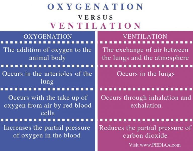 What is the Difference Between Oxygenation and Ventilation