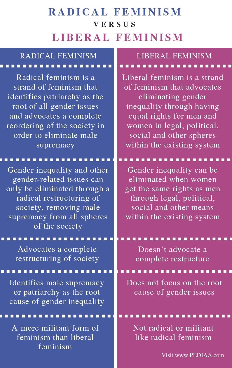 What Is Radical Feminism Example