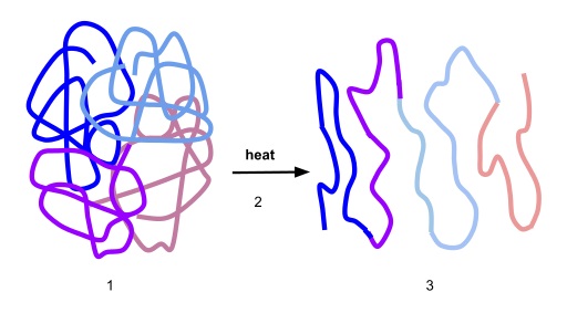 Difference Between Denaturation and Coagulation