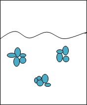 Denaturation vs Coagulation