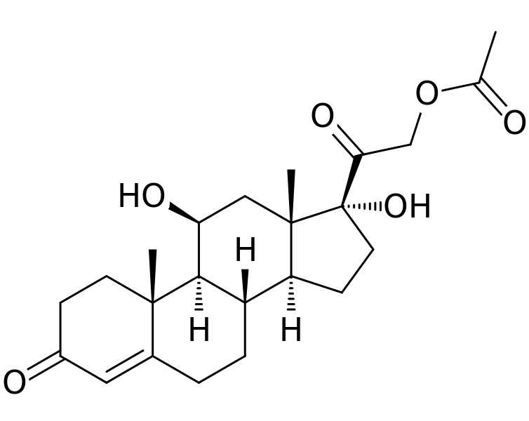Glucocorticoids vs Corticosteroids