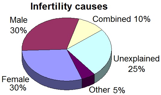 Difference Between Infertility and Subfertility