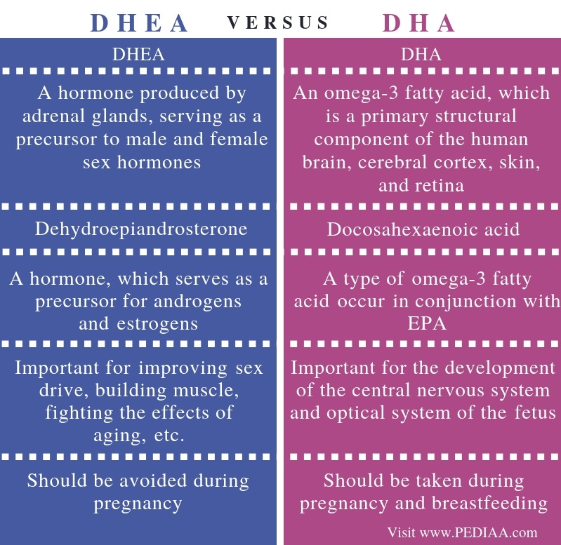 Difference Between Dhea And Dha Pediaa Com