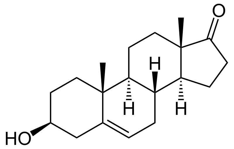 Main Difference - DHEA vs DHA