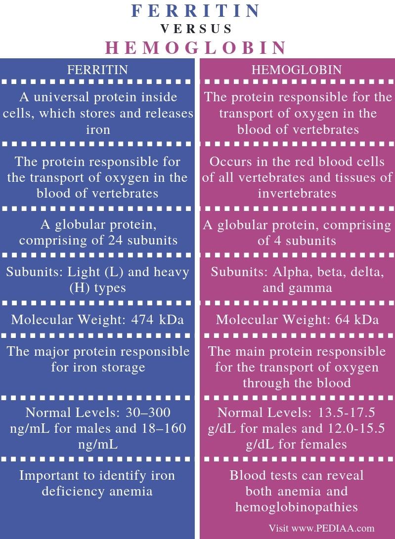 difference-between-ferritin-and-hemoglobin-pediaa-com