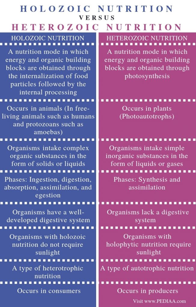 difference-between-holozoic-and-holophytic-nutrition-pediaa-com