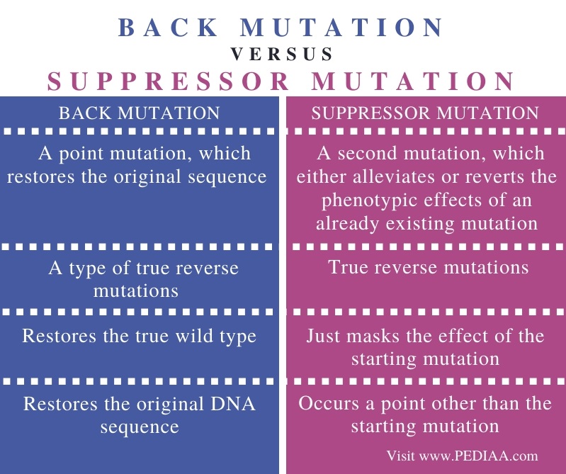 What is the Difference Between Back Mutation and Suppressor Mutation