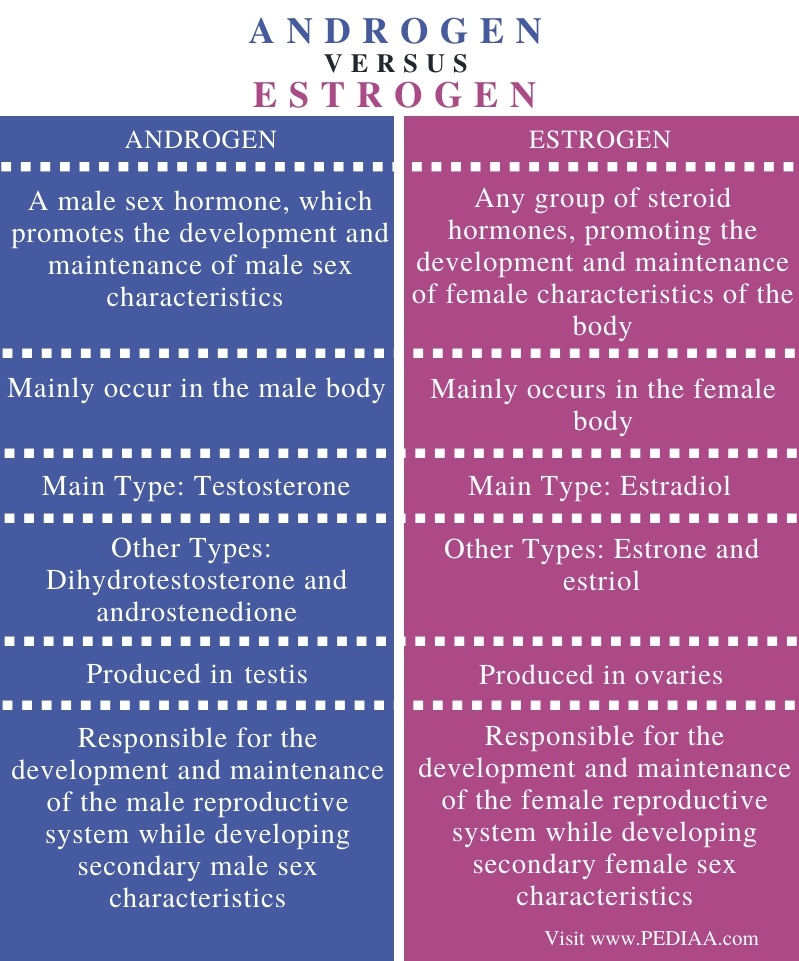 What is the Difference Between Androgen and Estrogen