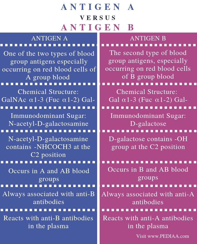 Difference Between Antigen A and Antigen B - Comparison Summary