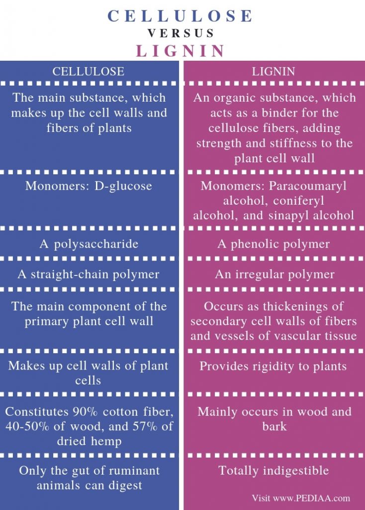 What is the Difference Between Cellulose and Lignin