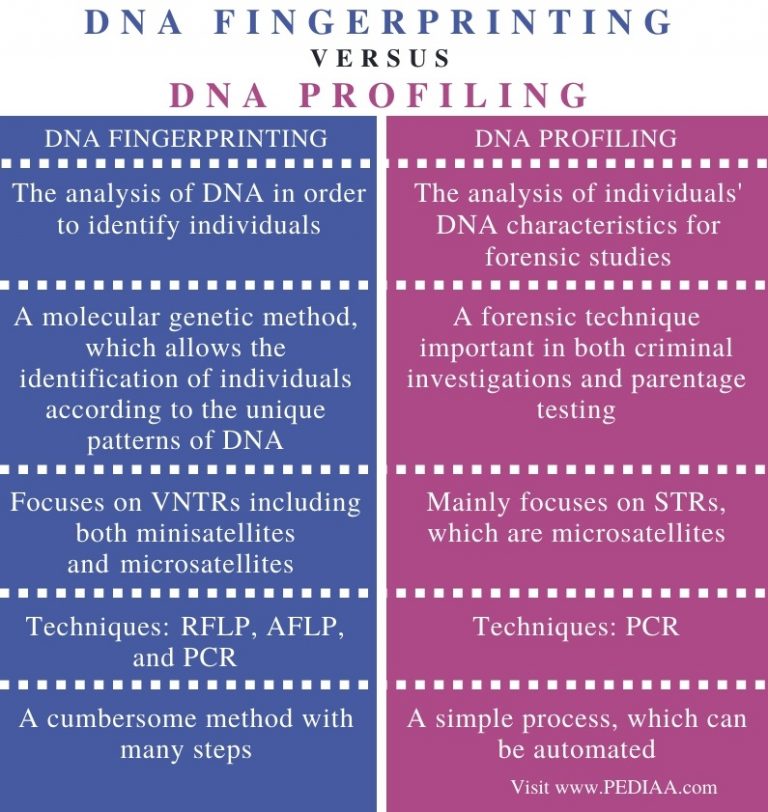 what-is-the-difference-between-dna-fingerprinting-and-dna-profiling