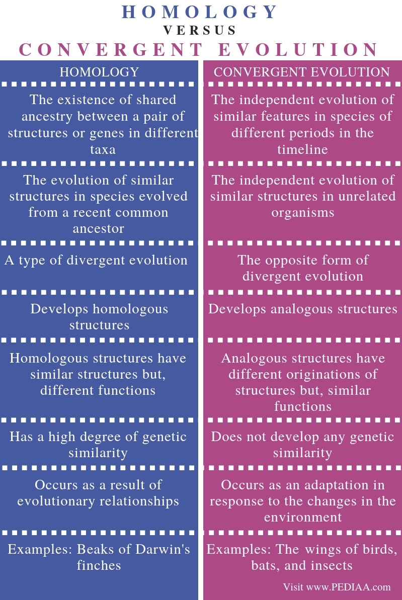 Difference Between Homology and Convergent Evolution - Comparison Summary
