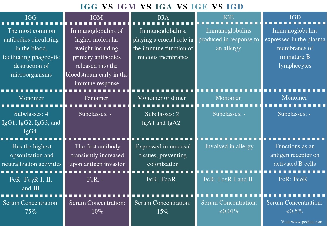 Difference Between IGG IGM IGA IGE and IGD - Comparison Summary