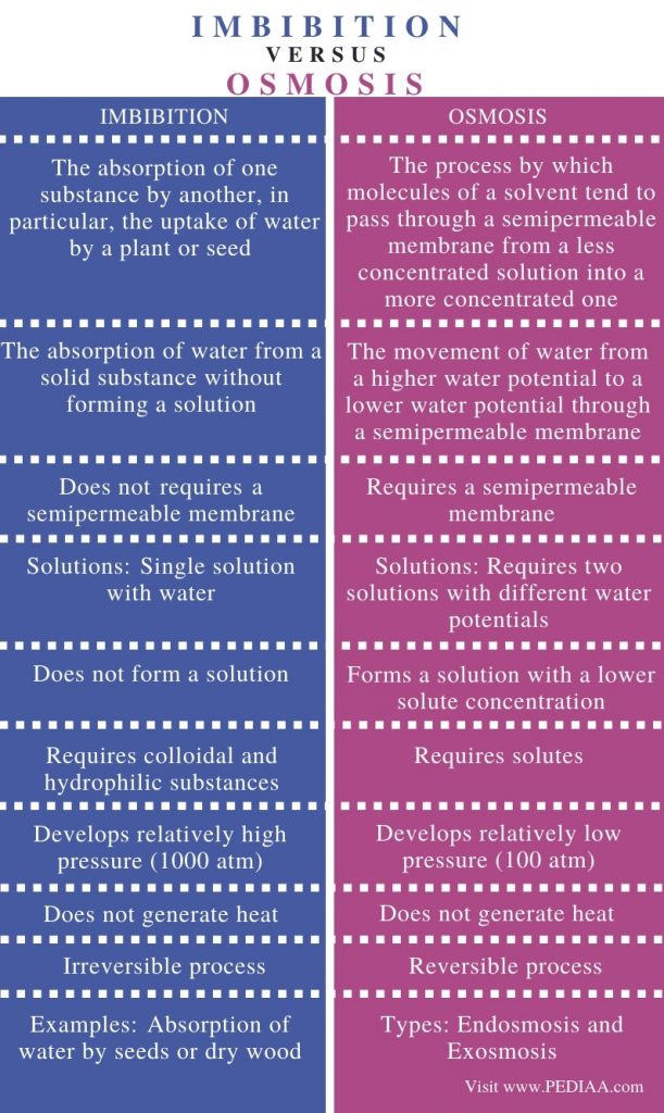 What is the Difference Between Imbibition and Osmosis - Pediaa.Com