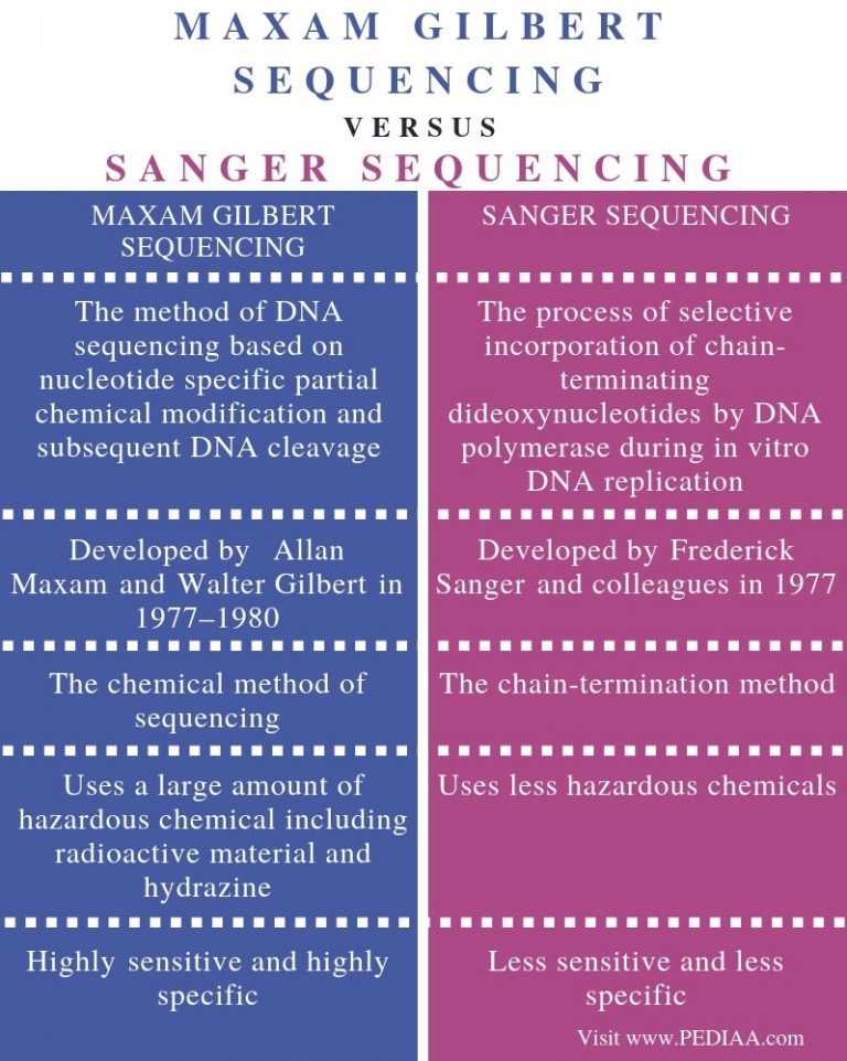 what-is-the-difference-between-maxam-gilbert-and-sanger-sequencing