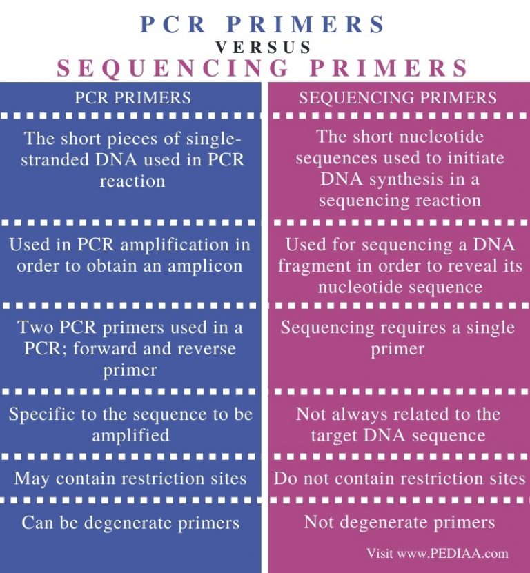 What is the Difference Between PCR Primers and Sequencing Primers