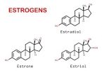 What is the Difference Between Androgen and Estrogen  Pediaa.Com