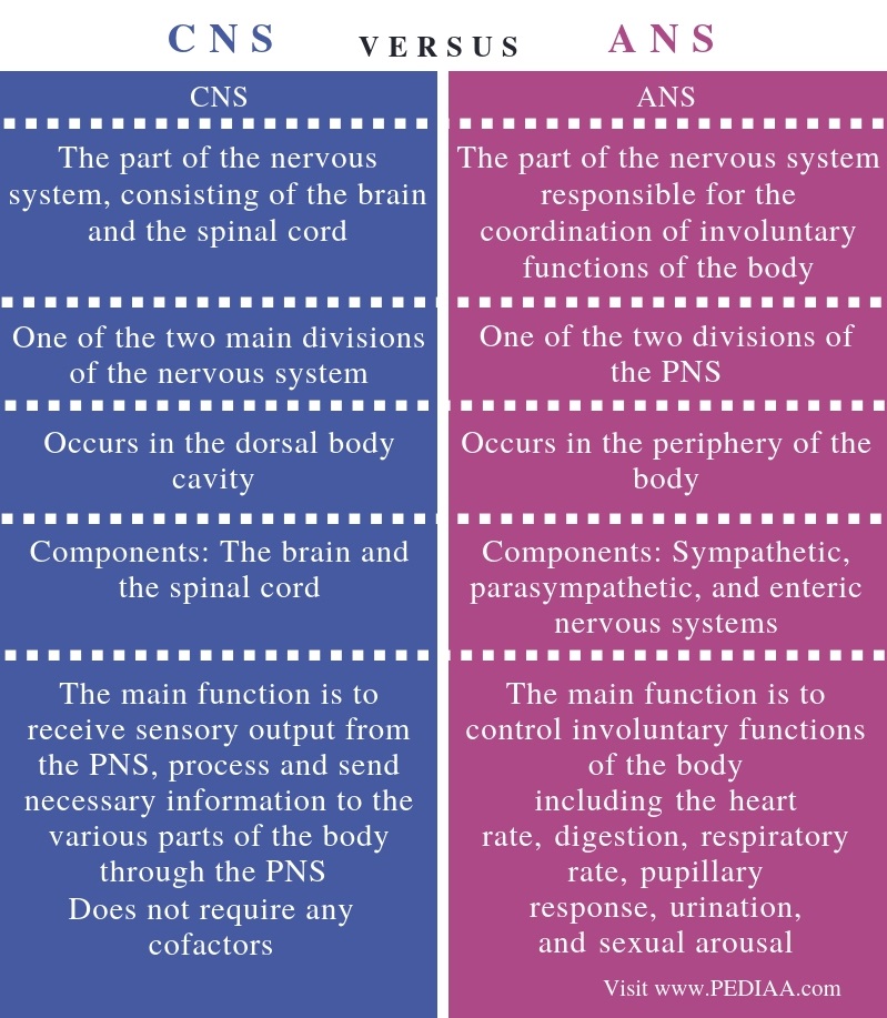 how-the-nervous-system-impacts-daily-life-intro-psych-blog-f19-group-9