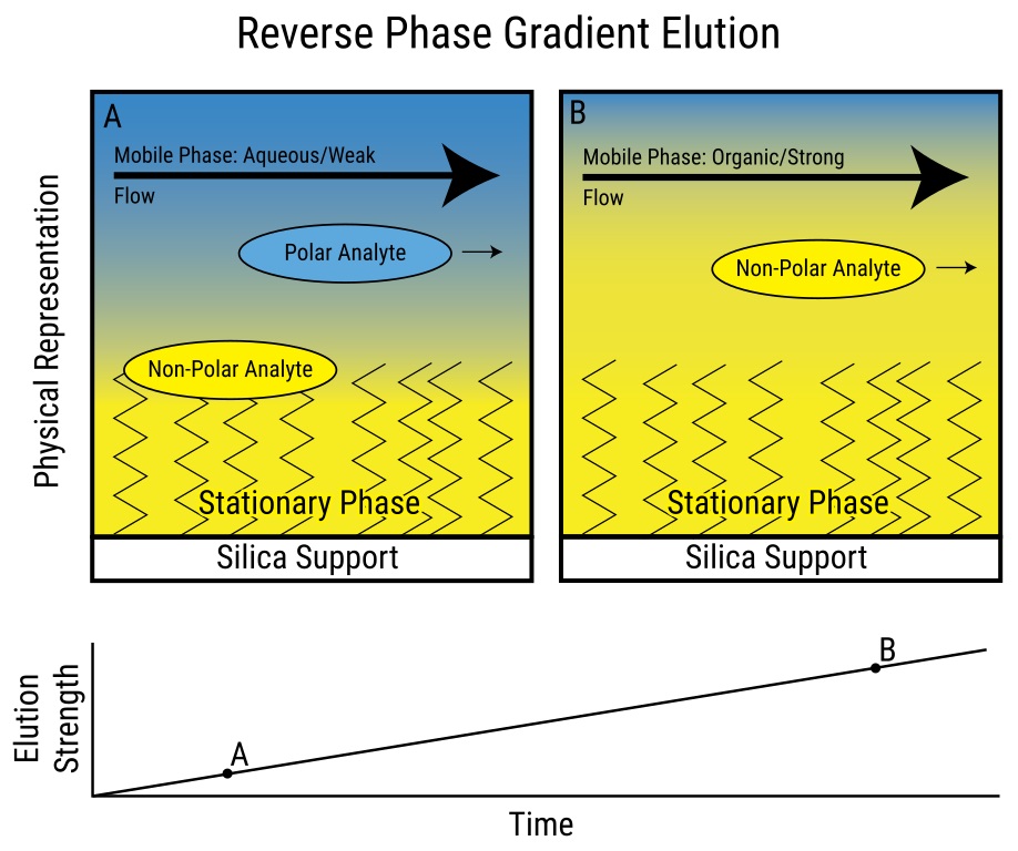 What Is The Stationary Phase And Mobile Phase