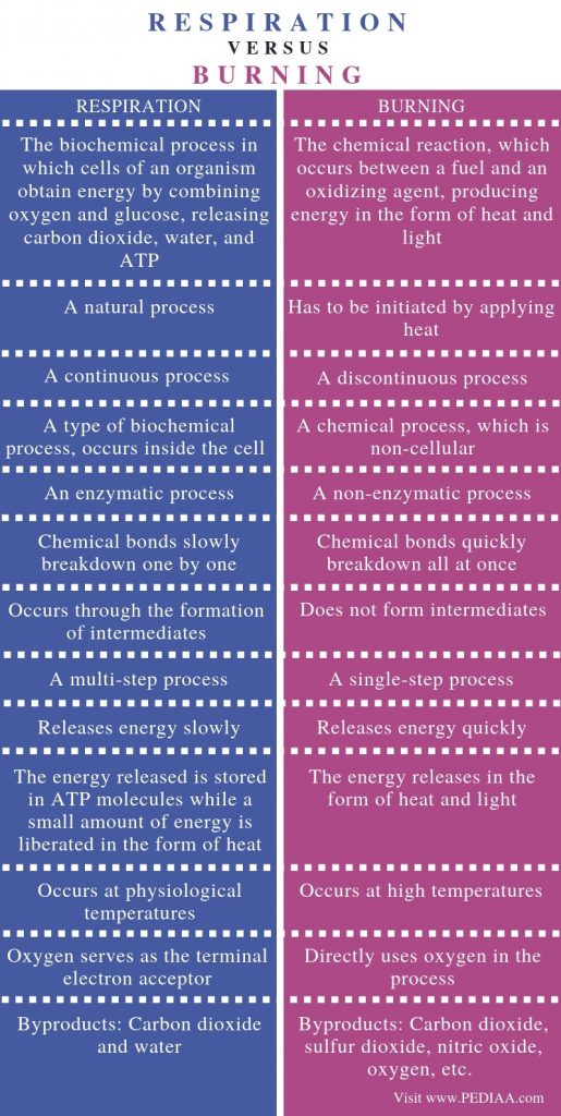 What is the Difference Between Respiration and Burning - Pediaa.Com