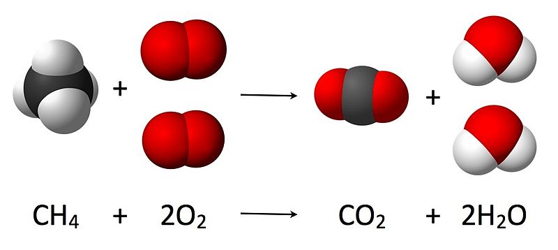 Respiration vs Burning