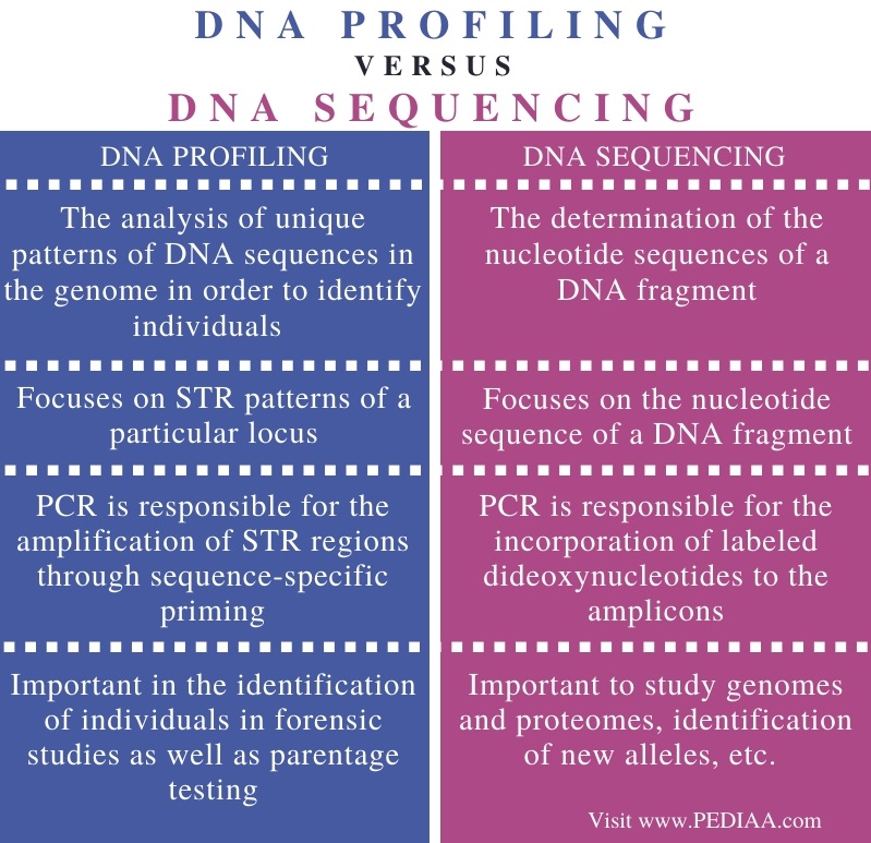 What is the Difference Between DNA Profiling and DNA Sequencing ...