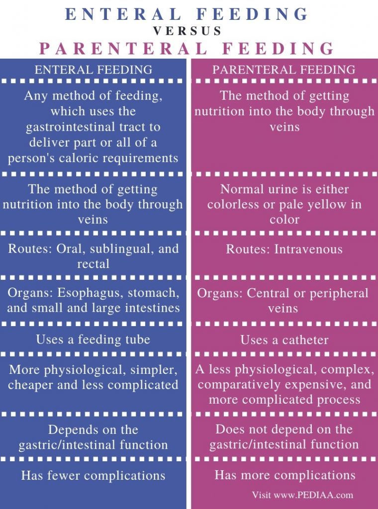 What is the Difference Between Enteral and Parenteral Feeding